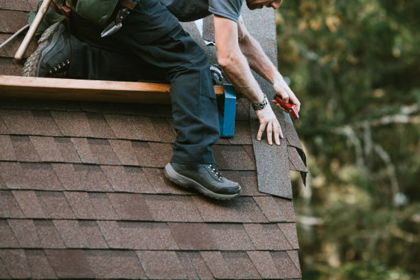 Roof Waterproofing Services in Sutton Alpine, AK